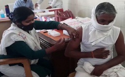 photo gallery images